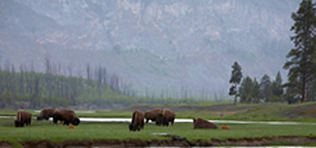 landscape photography